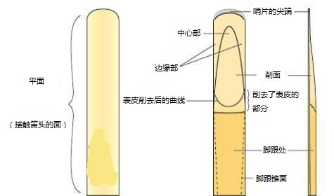 薩克斯哨片簡(jiǎn)介